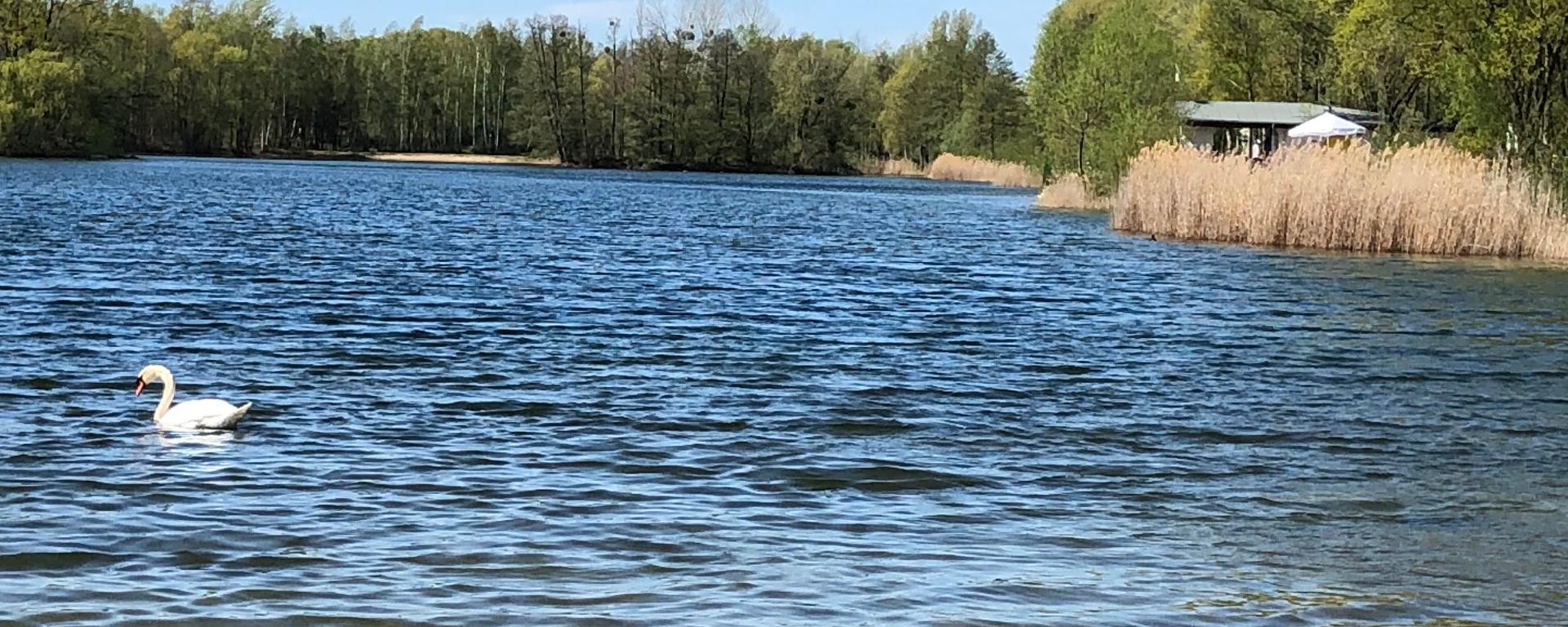 Nymphensee: Badesaison 2022 retten und Streit endlich beenden